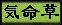 seek